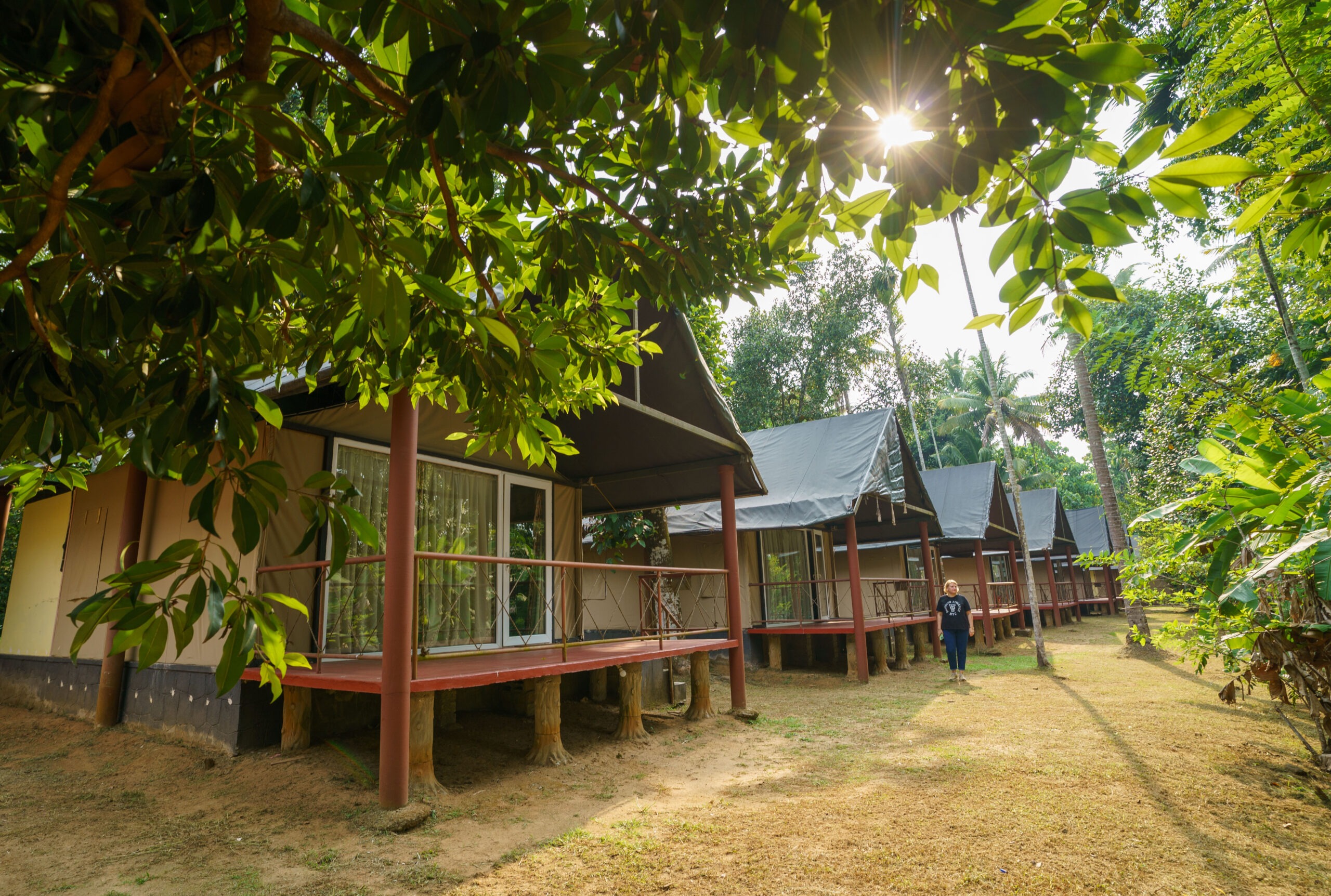 Jungle View Tent