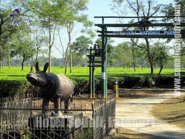 Gorumara National Park