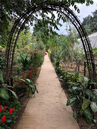 Kaziranga National Orchid and Biodiversity Park