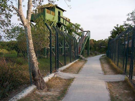 Sajnekhali Watch Tower