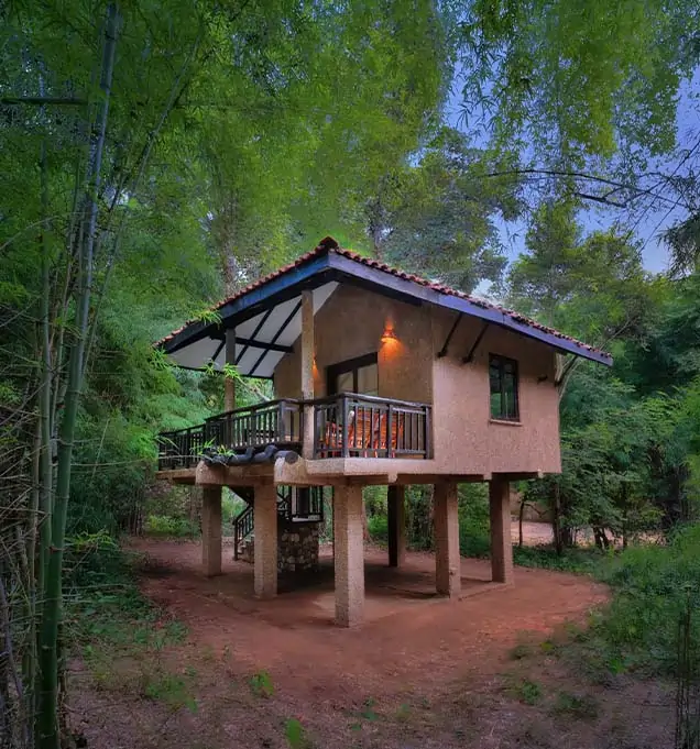 Wildlife Resort in Bandhavgarh