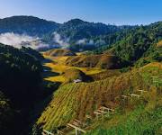 Ziro Valley