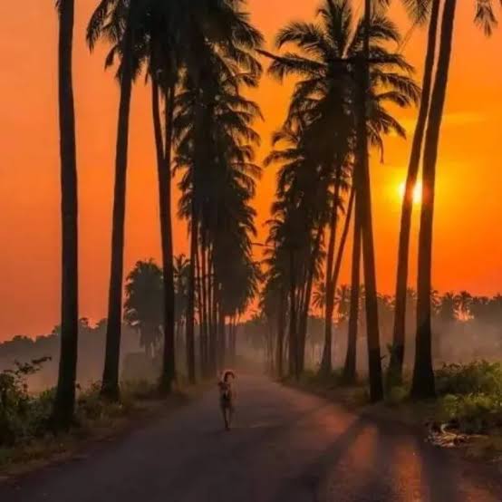 Parra (North Goa)