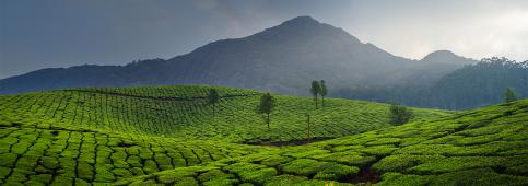 Best of Kerala