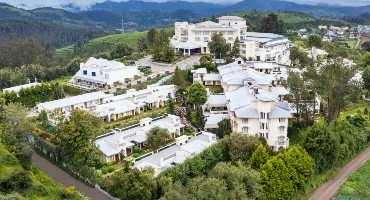 Sterling Ooty – Fern Hill