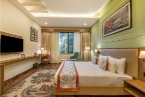 Premier Room