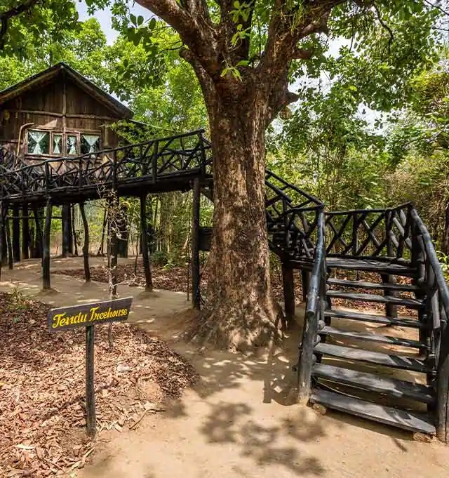 TREE HOUSE HIDEAWAY – BANDHAVGARH