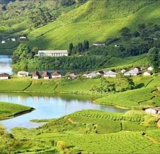 Munnar