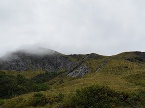 Eravikulam National Park