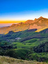 Kolukkumalai Tea Estate