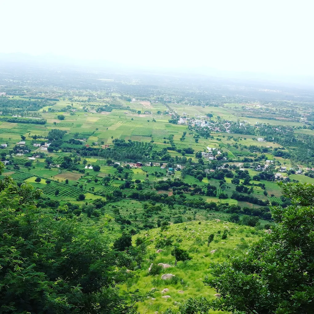 Yelagiri
