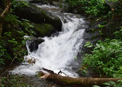 Thirunelly