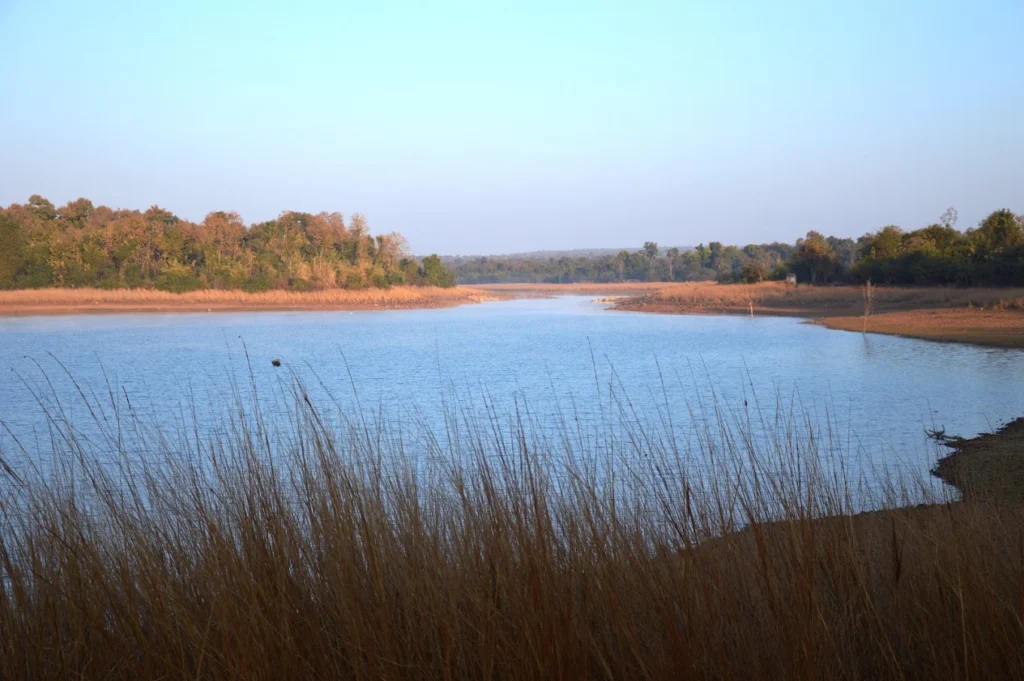 Tadoba