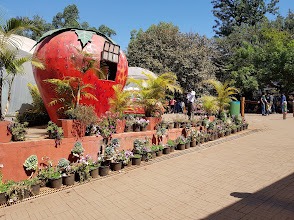Mapro Garden